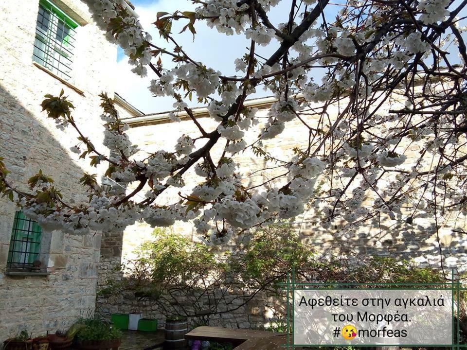 Morfeas Guesthouse Papigko Esterno foto